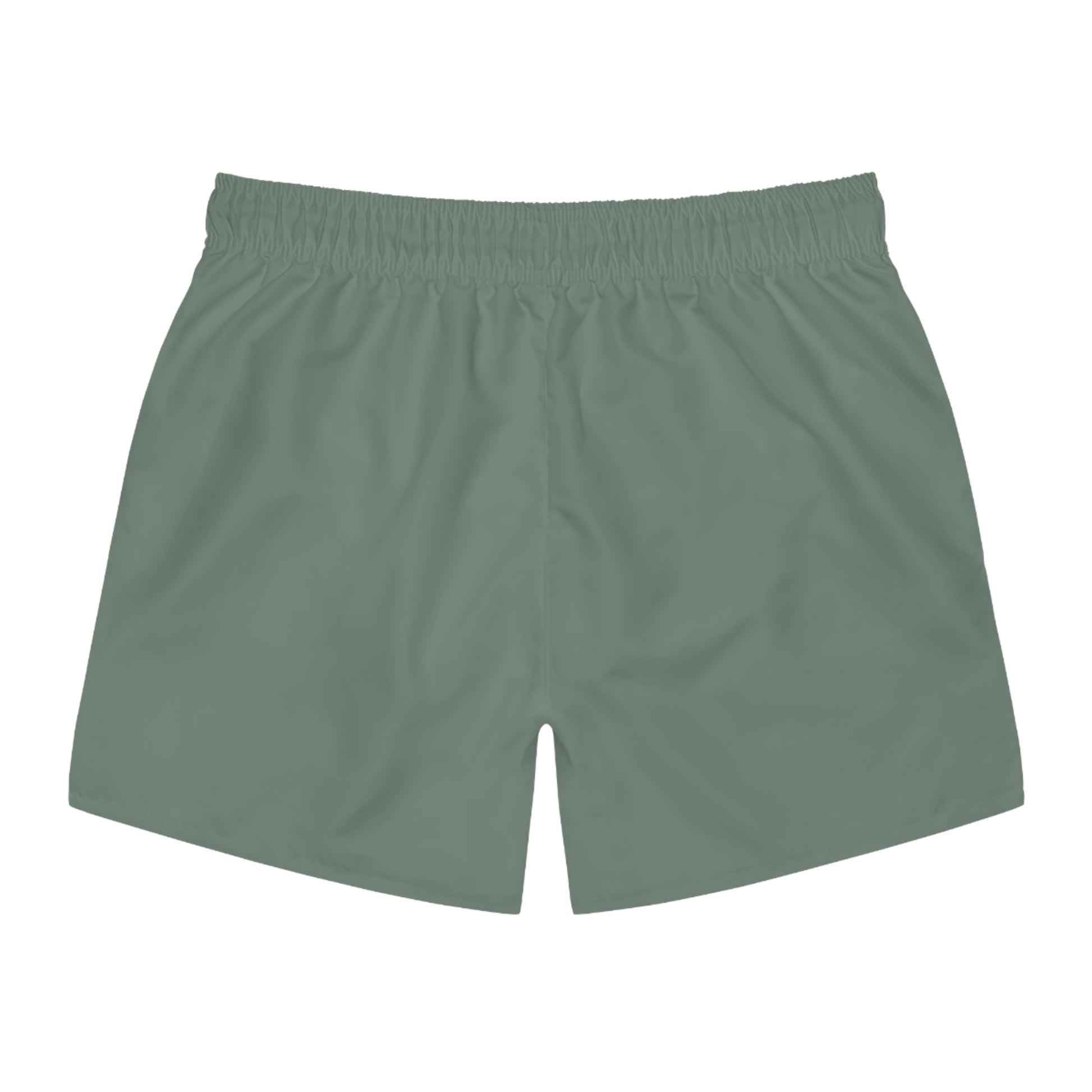 Swim Trunks | Chillin' Like A Gecko